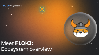 The FLOKI Ecosystem overview