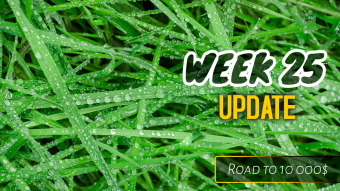 Week 25 Update