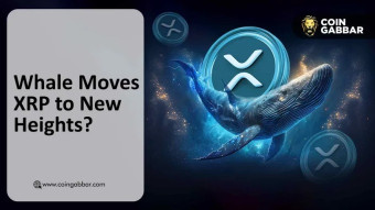 XRP Eyes New ATH: Whale Moves & SEC Deadline Trigger Price Surge