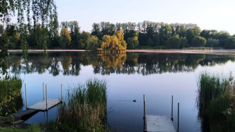 Weather is mixed, but still pleasant for walks - My Actifit Report Card: May 22, 2025