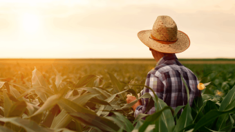 Communicational Opening of Liquidity Providers