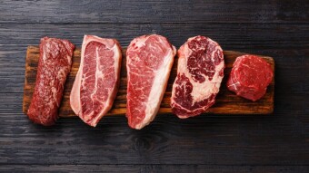Carnivore Diet: Recovery and Performance, Part 3