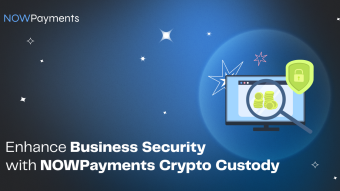 Private and Efficient Crypto Custody for Your Business — NOWPayments