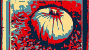 NFT Breaking News #35 - Halloween Story With Pumpkin NFTs On Base and zkSync