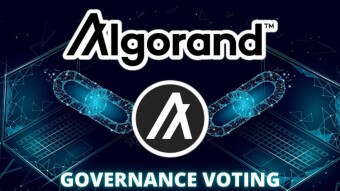 Algorand Governance: Becoming a Governor and Staying Eligible Through Voting - Part I
