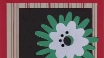 Daily Bible Reading: Saturday, July 3, 2021