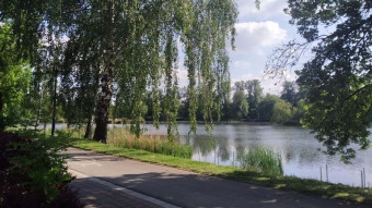 Much warmer and sunny - May temperature shock! - My Actifit Report Card: May 20 2025