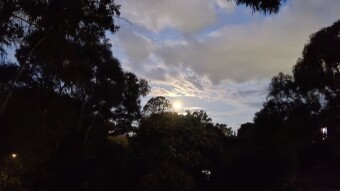 Watching the Blood Moon with the Kids!