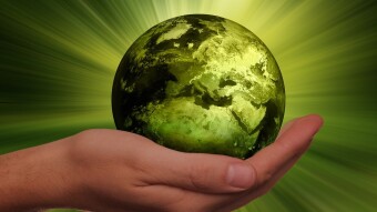 Pro-ecological activities