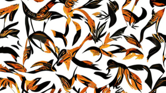 Pattrn, my first generative NFT collection