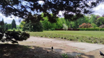 Slight improvement in the weather, plenty of sunshine and no rain - My Actifit Report Card: May 19, 2025