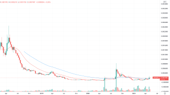 OMG/BTC Weekly Chart = Point of Maximum Financial Opportunity?