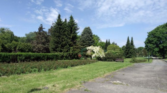 Finally a truly spring and warm aura - My Actifit Report Card: May 21 2025