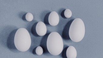 TheCryptoComparisonSeries 15 :Trust Wallet Token(TWT) against the $, BTC, ETH and AMPL.