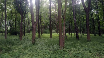 Wednesday will pass the week will die - My Actifit Report Card: May 28 2025