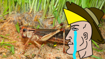 Understanding Harvest Finance Flash Loan Attack For Autists