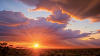 A brief on my midlife parenting