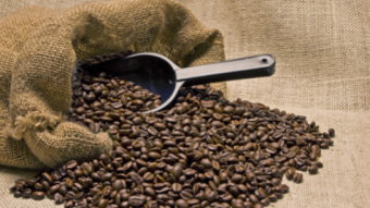 Morning JAVA: FED Holds Rates, Eases Quantitative Tightening