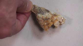 Showing off my cracked open rocks from Diamond Hill Mine