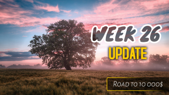 Week 26 Update - 6 months since the start