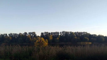 Beautiful Spring Sunday - My Actifit Report Card: May 25 2025