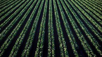 Defi and Yield Farm with OKEx