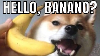 Get Some Free BANANO!