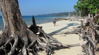 From my travels around India - Andaman Islands, Havelock Island