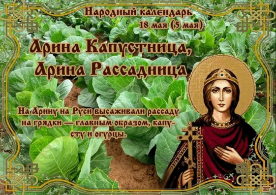 34f0c7c19ac1342739c6457f2ac3b4f208ecf88ca6dd45beec05ff309819625f.png