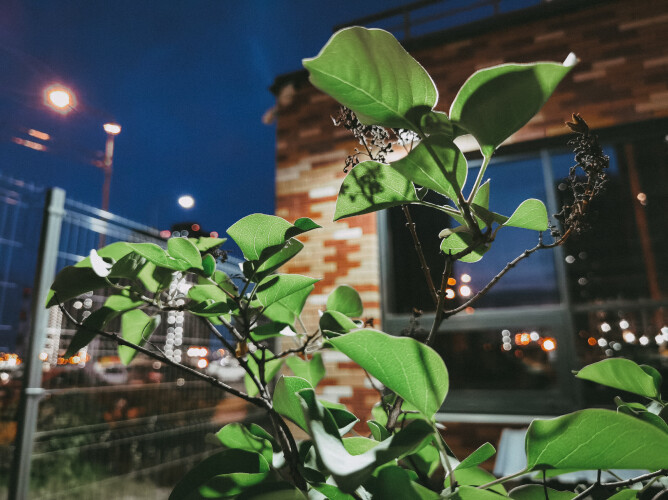 night photography