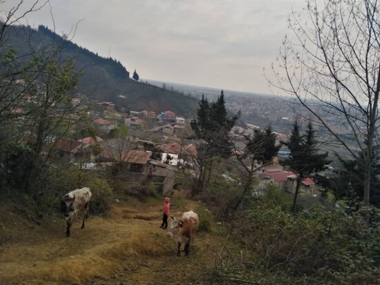 Morning Hike among Lady Friends, Photography of Nature