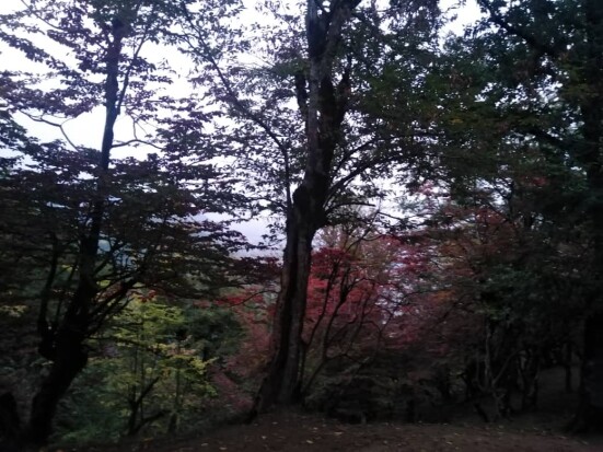 Autumn, My Favorite Season | A Hike Before Sunset