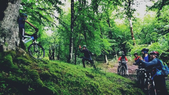 The Story of Getting Lost in The Forest…