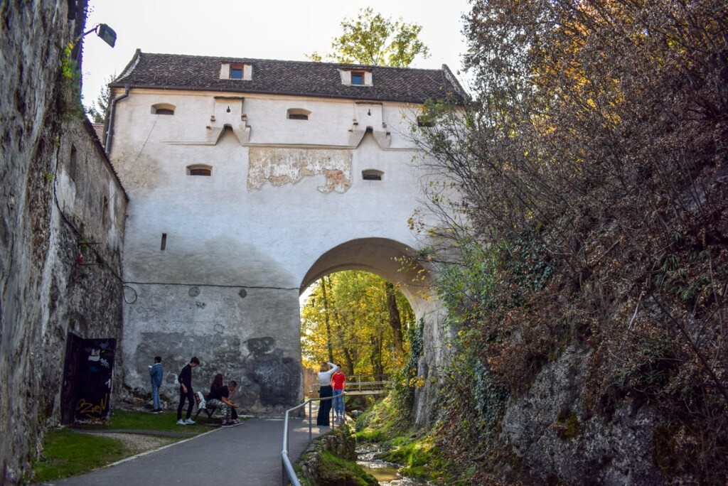Graft Bastion