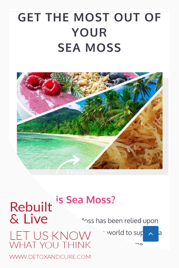 Sea moss website build to showcase what visitors want to see