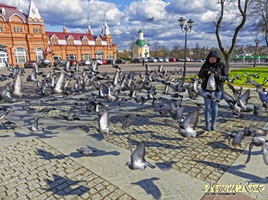 tourism and travel