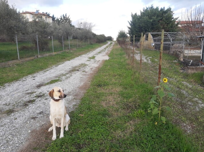 351665157-0193308efd305c5ba4fea8ba18c5a6f730e70f4079a801d8d3f57b20cd78f3c5.jpeg