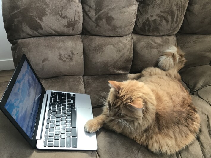 Cloud Computing