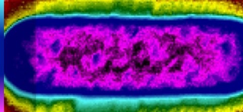 351665157-069244cba835c846a60f3c2c8b4a41909a69031dbe0589c17c26a42b90303ae0.jpeg