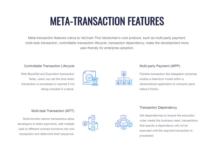 VeChain transaction features