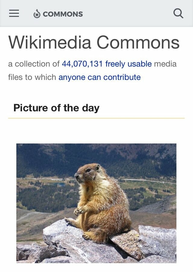 190903265-0fe50af9b5bab52728c6320b4042dc710bbadd419235f35234fedf7021323920.jpeg