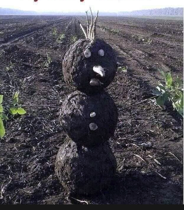 Merry Christmas !!!!!