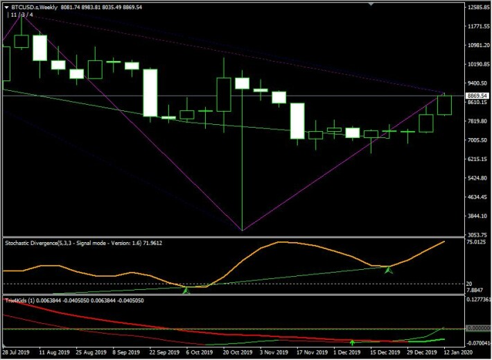 BTC USD WEEKLY FIBONACCI HARMONIC PATTERNS