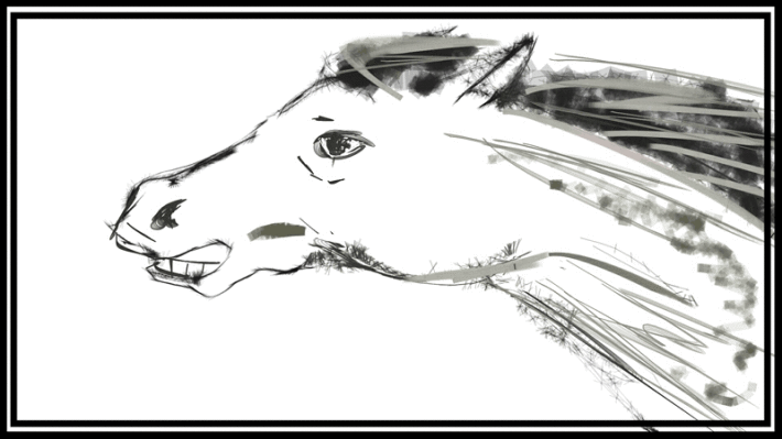 horses