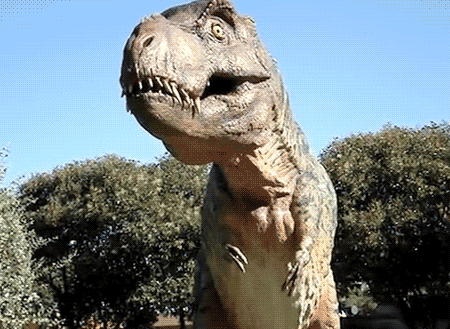 190903265-3fcc5d342c1cfcc9c1d6101da6447c966acdd2c20da4aa2ce6b18f85945ca583.gif