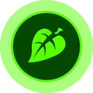 351665157-594ed8f42aac2f42f9c284910c05a2e8fd5016d09970ed4a3bf16dbc2e224468.png