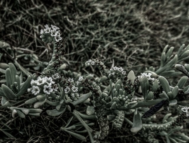 190903265-63c235fa16090d2a494a4e629798f9291915f7faf676f067a9c9cc06e3ef073a.jpeg