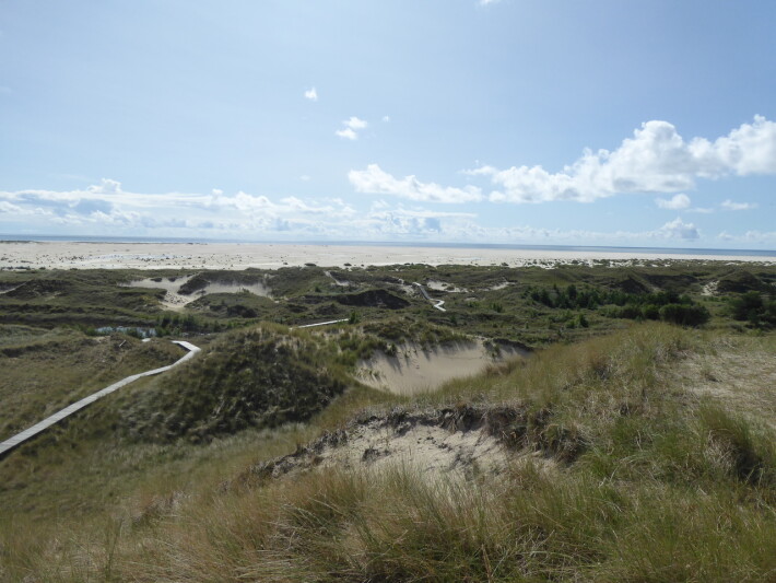 Path through the dunes
