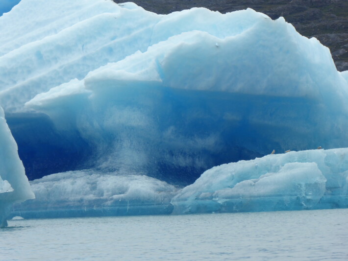 Birds in a deep blue iceberg