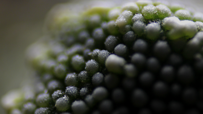 351665157-6ddcb994e5e6097104d90f8f7f3eecd63da9c6bec36d482e9f43c696e14b304f.png